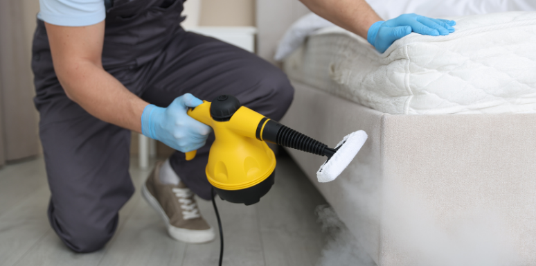 End of Lease Pest Control